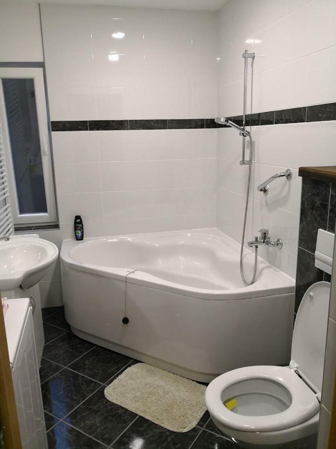 Apartment Maximilian-Free Parking!!! Загреб Екстериор снимка